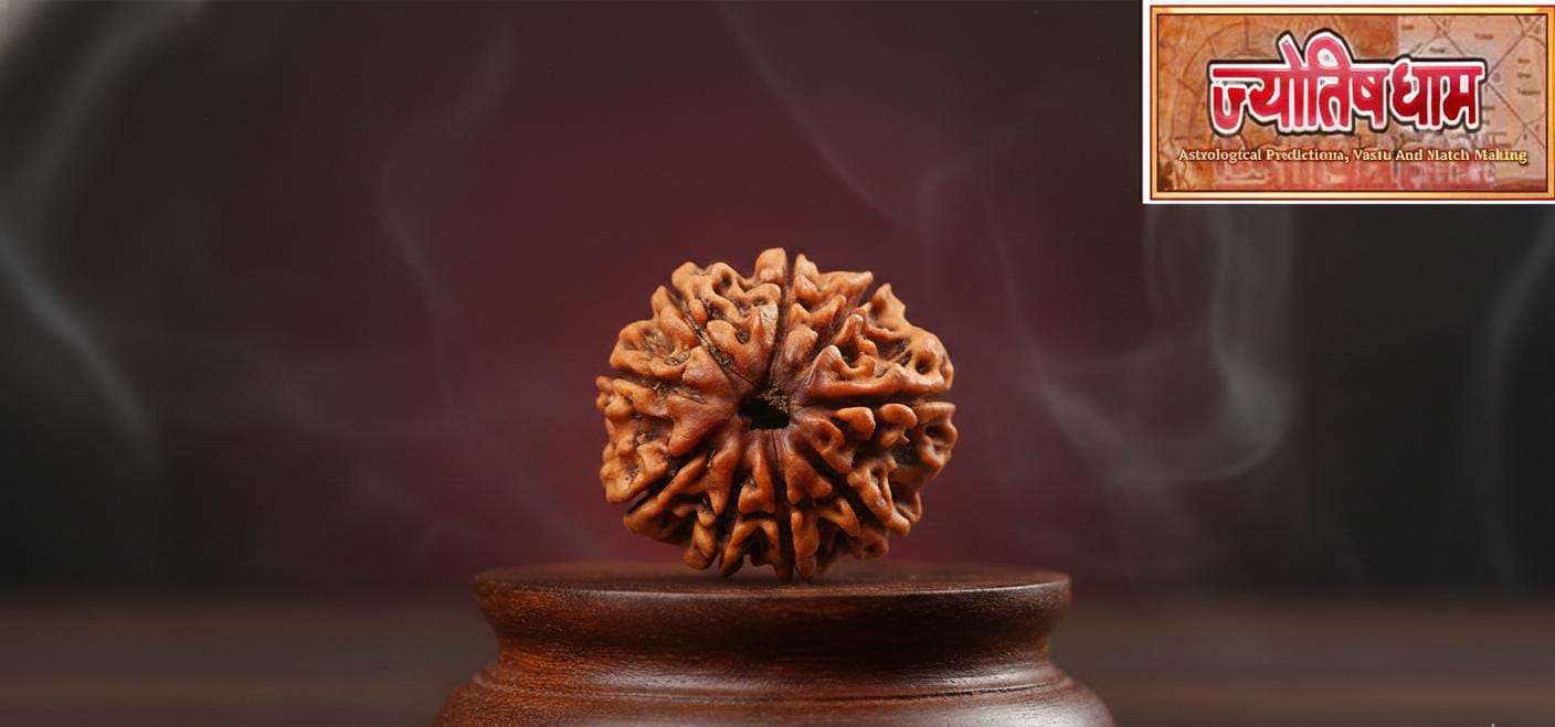 9 Mukhi Rudraksha