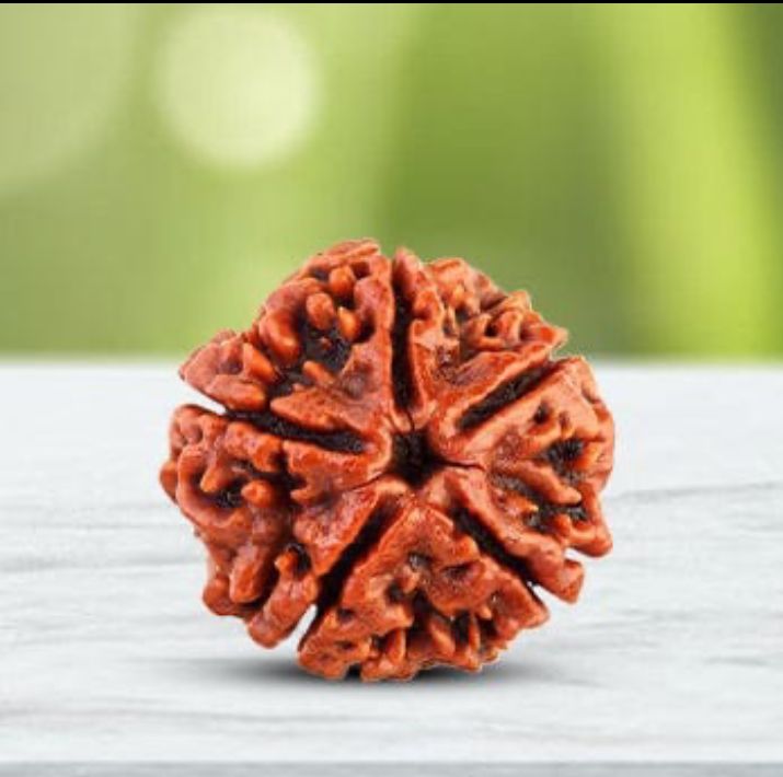 Energized Panchmukhi Rudraksha