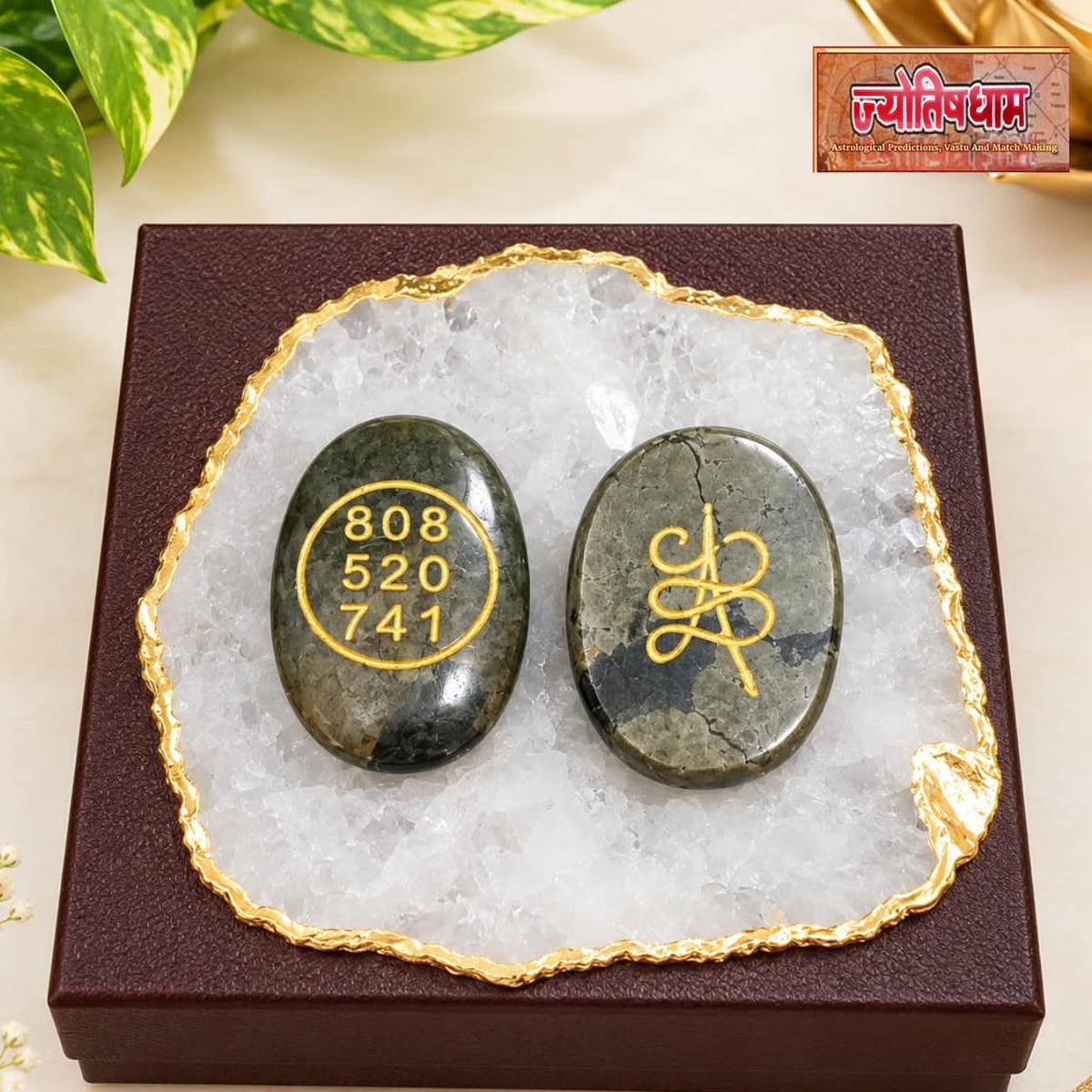 Pyrite Ziby Coin