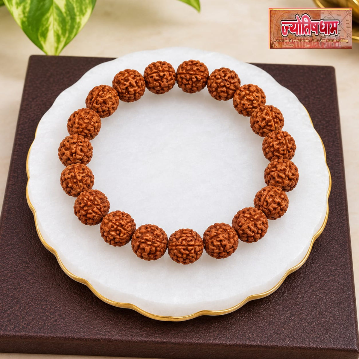 5 Mukhi Rudraksha Bracelet