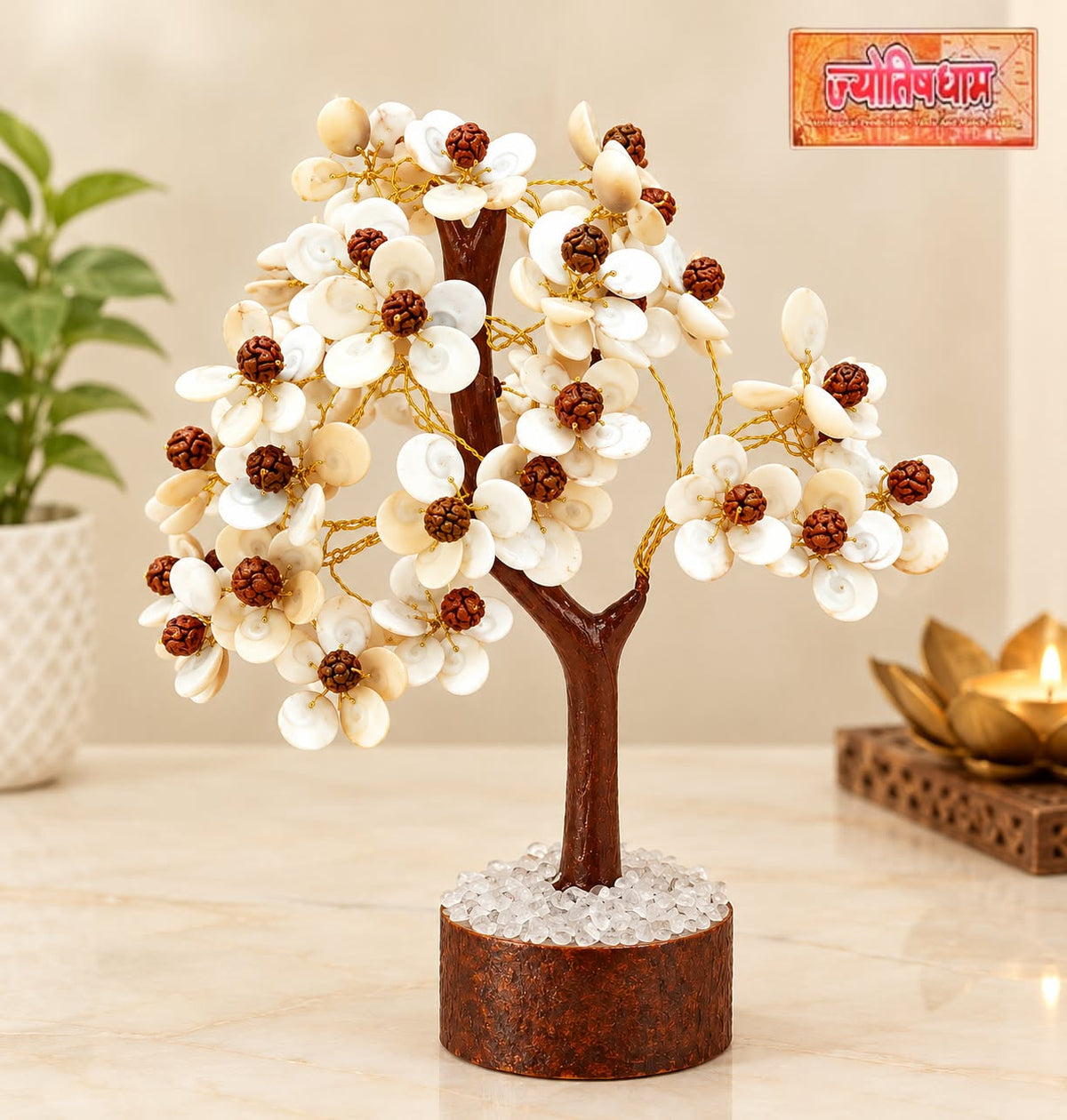 Gomti Chakra With Rudraksha Tree