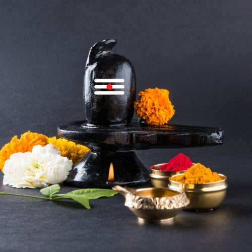 Rudrabhishek Pooja (Online & In-person)