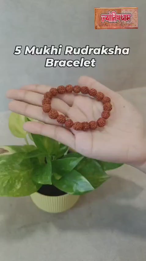 5 Mukhi Rudraksha Bracelet